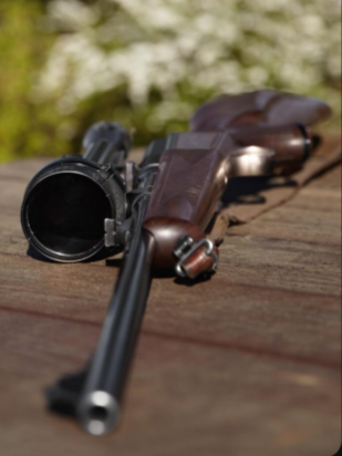 Las 5 marcas de rifles de caza más populares en España