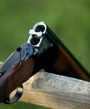 Armas combinadas para caza: qué son y cuándo utilizarlas