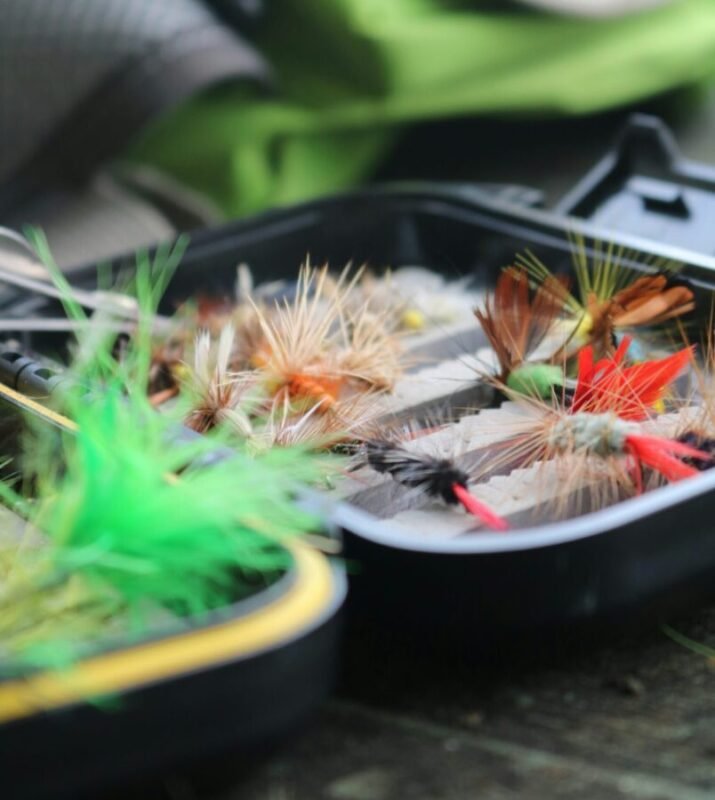 Pesca con mosca en lagos: claves para el éxito