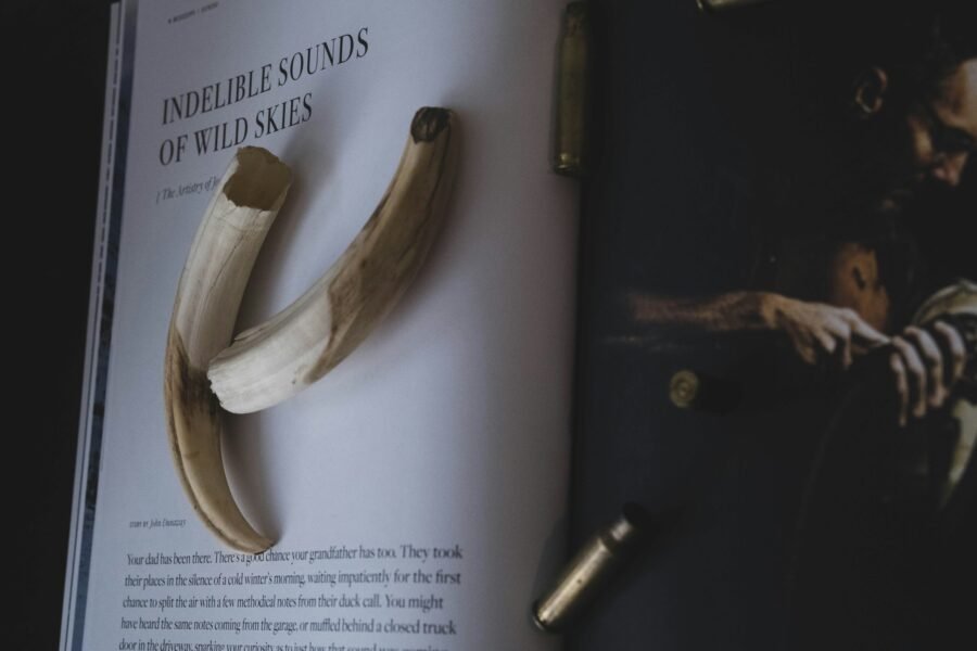 Calendario de Caza Mayor por Comunidades en España