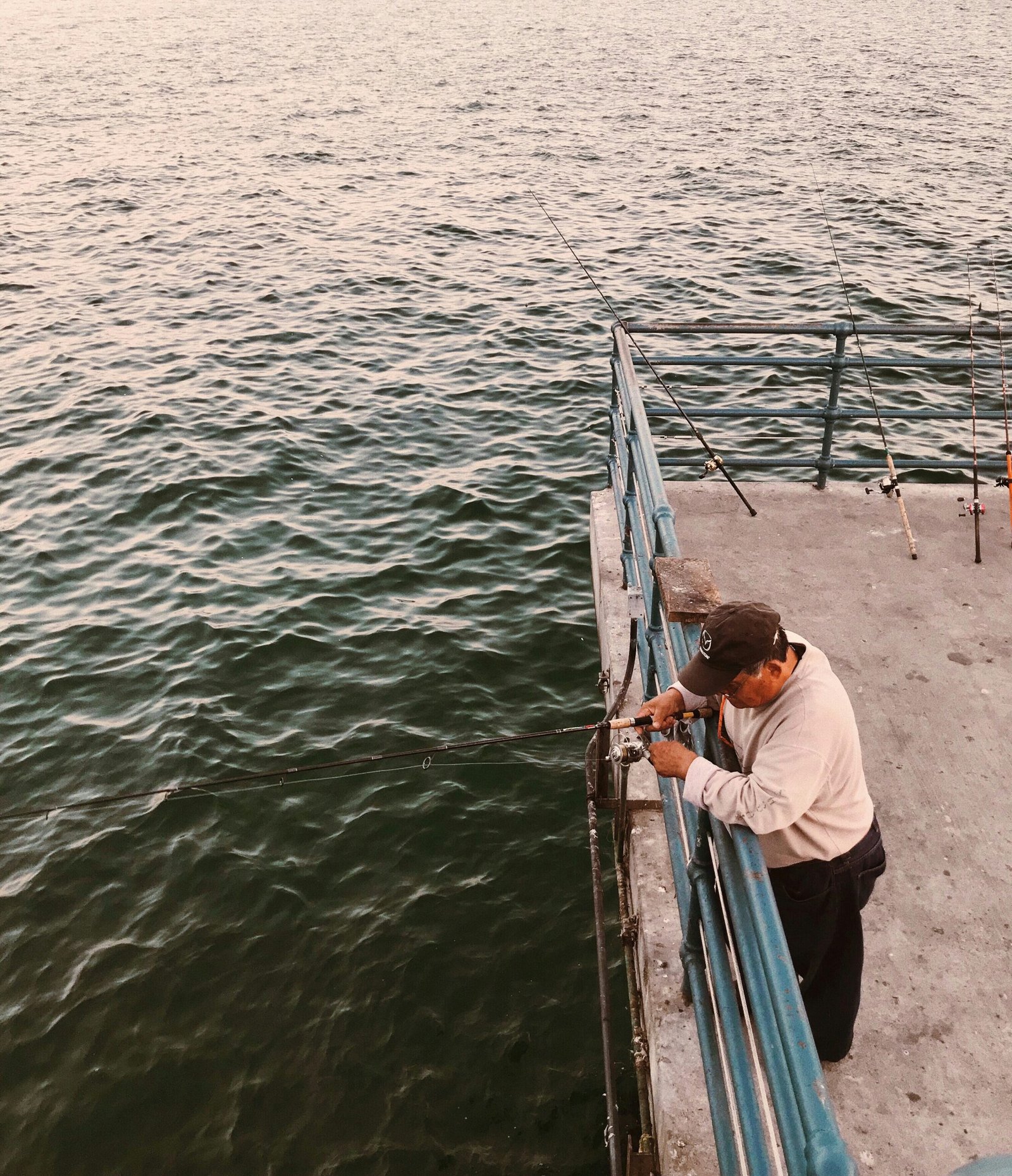 Cómo localizar lucios en el agua: Guía completa para pescadores