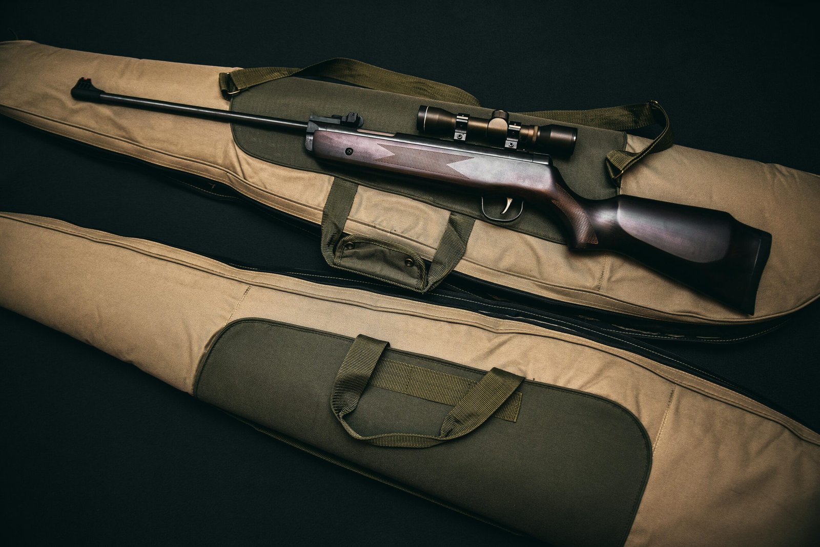 Comparativa de rifles económicos para principiantes en caza