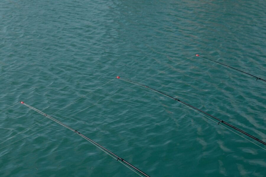 Mejores hilos y trenzados para pesca en mar