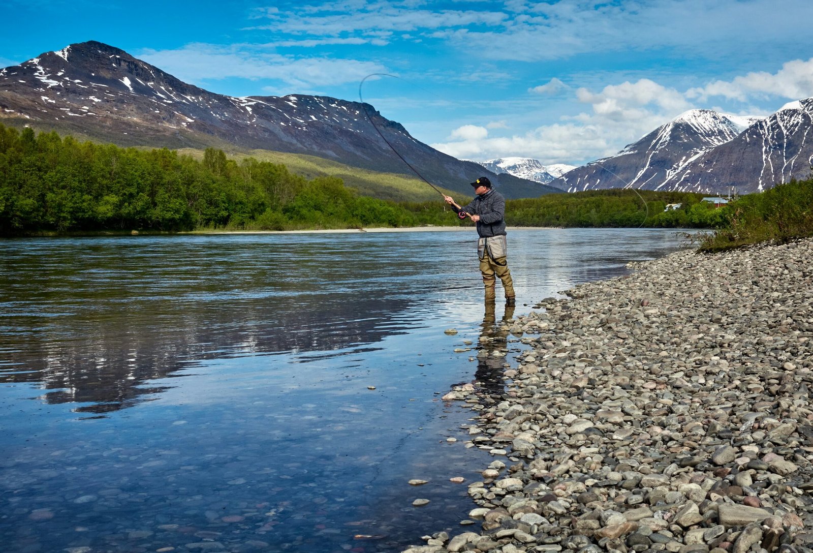 Pesca de Trucha con Mosca: Consejos Esenciales para Principiantes y Expertos
