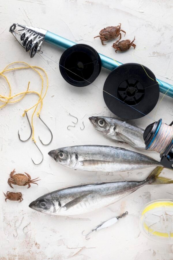 Cómo preparar cebos caseros para pesca de carpa