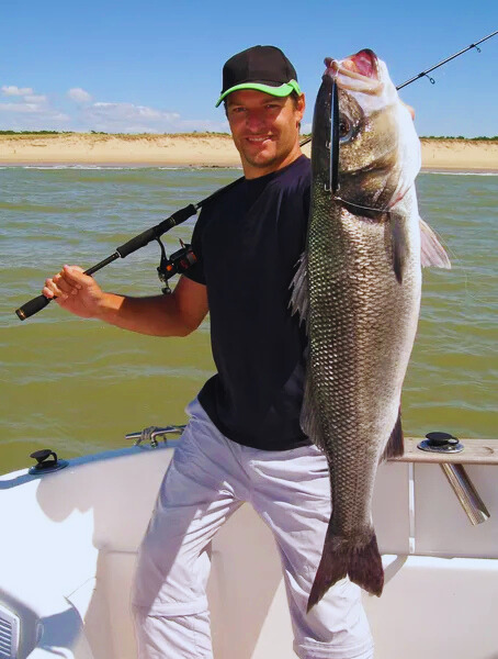 Curiosidades sobre la lubina que quizá no conocías