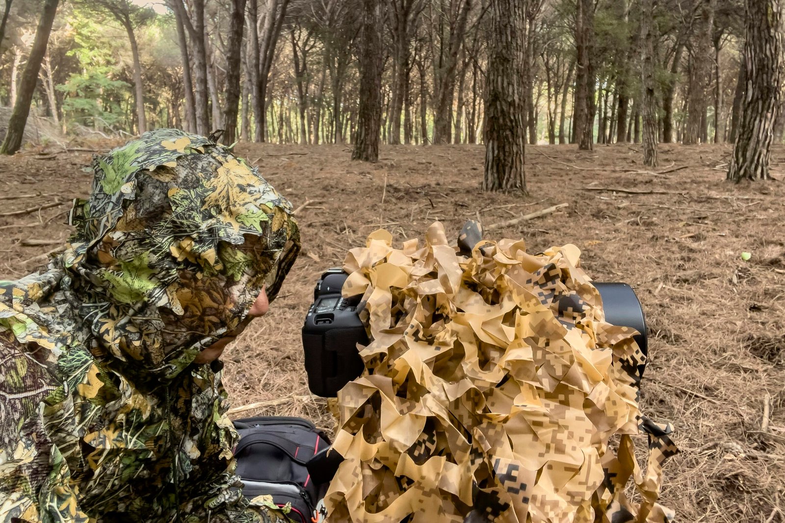 Cámaras trampa para monitoreo de fauna: tecnología al servicio de la conservación