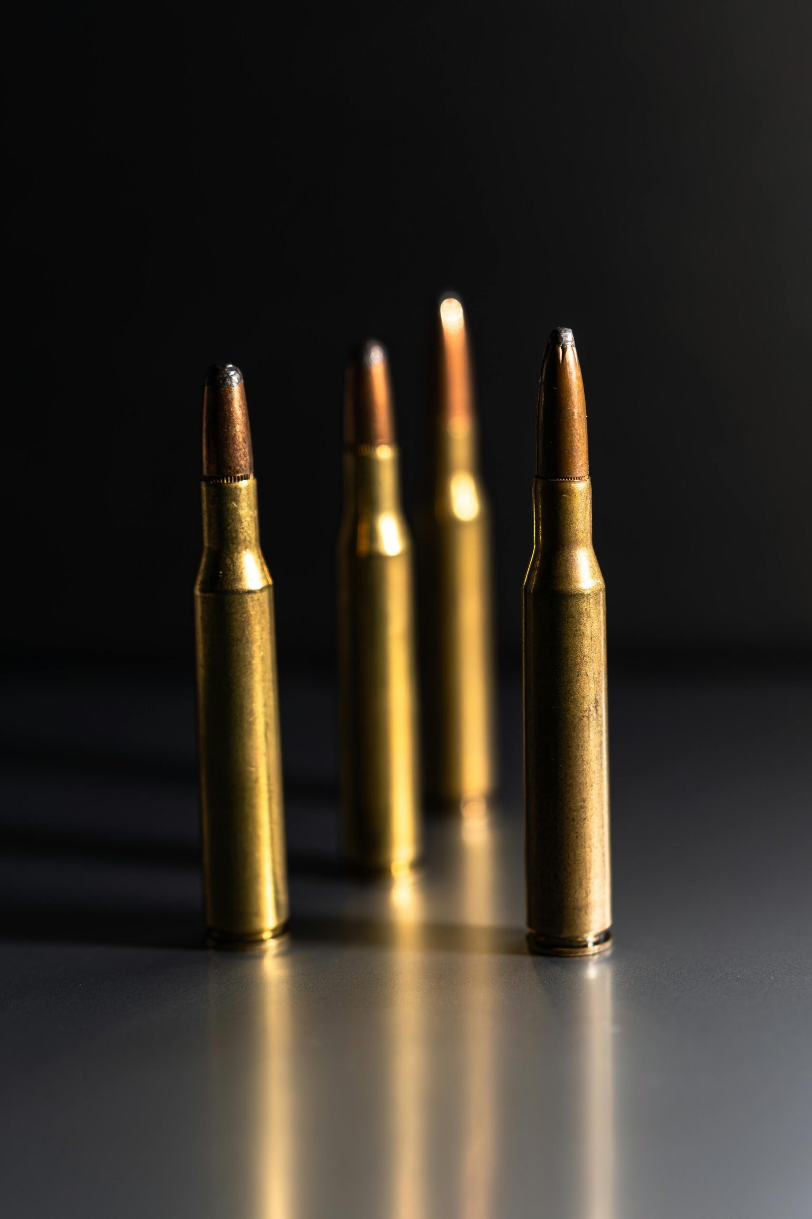 Comparativa entre calibres .243 y .308 en caza