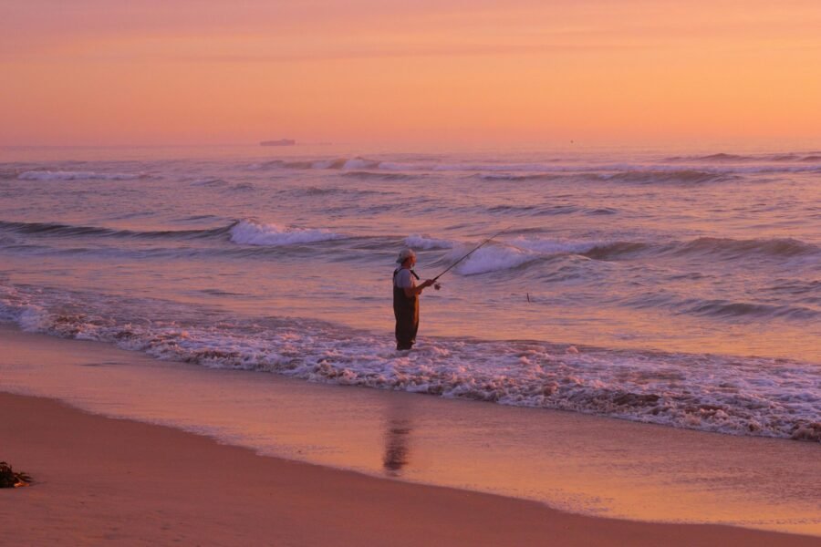 Temporada de pesca de la merluza: cuándo es mejor pescarla