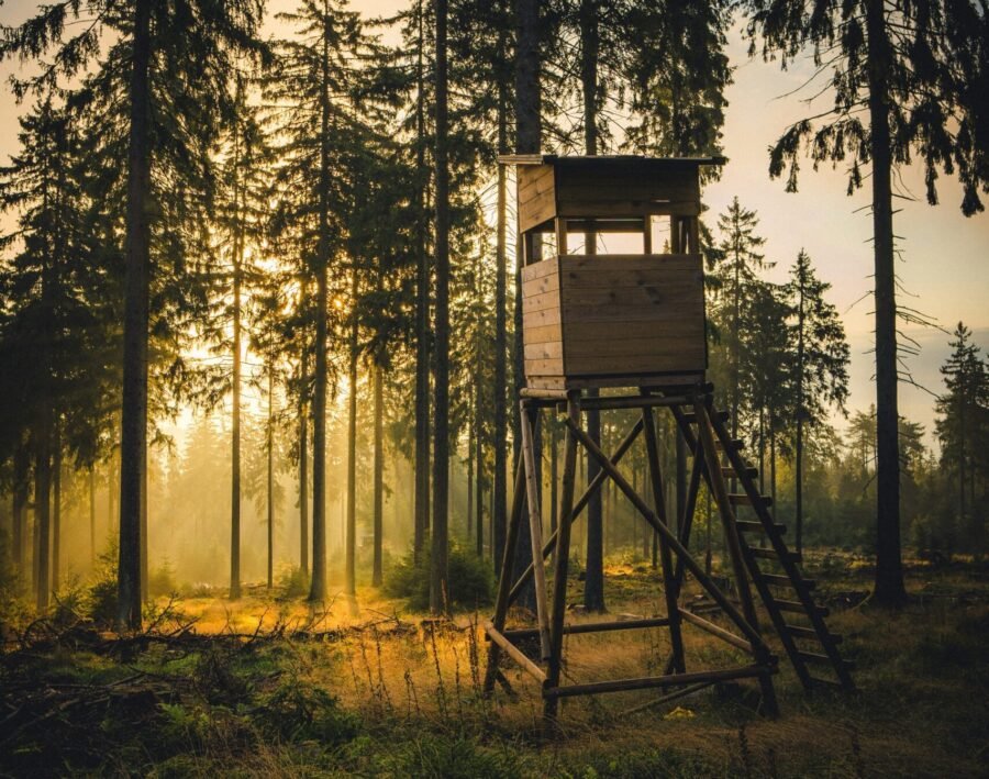 Armas para Caza Mayor: Guía de Calibres Comunes