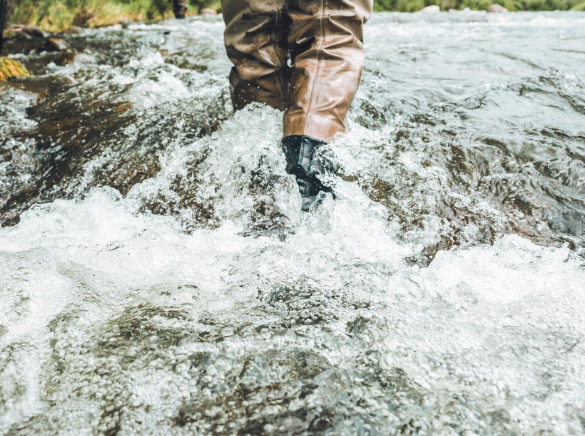 Pesca en Río Rápido: Momentos de Mayor Actividad