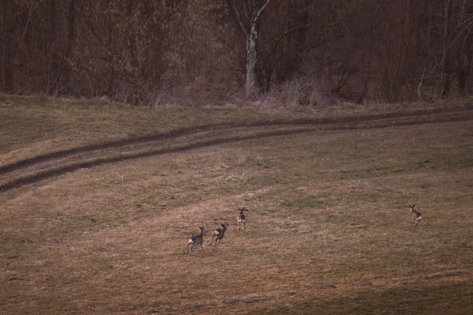 Cómo Elegir Tu Primer Reclamo de Caza