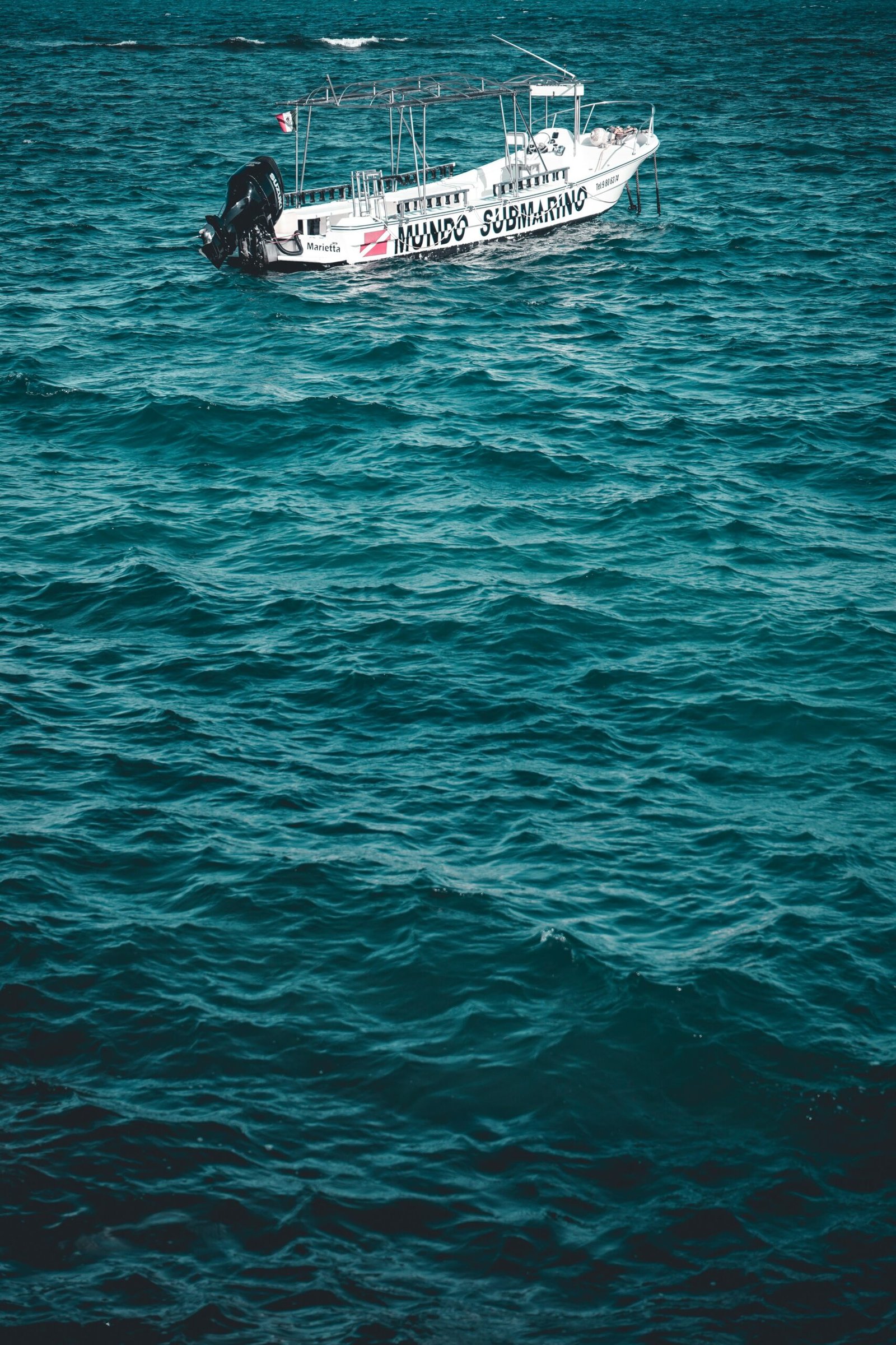 Tipos de Merluza Según la Región y el Océano