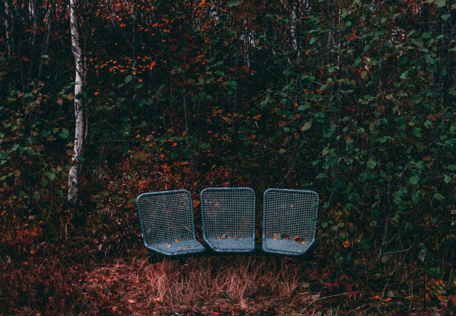 Todo lo que necesitas saber sobre sillas giratorias para puestos de caza