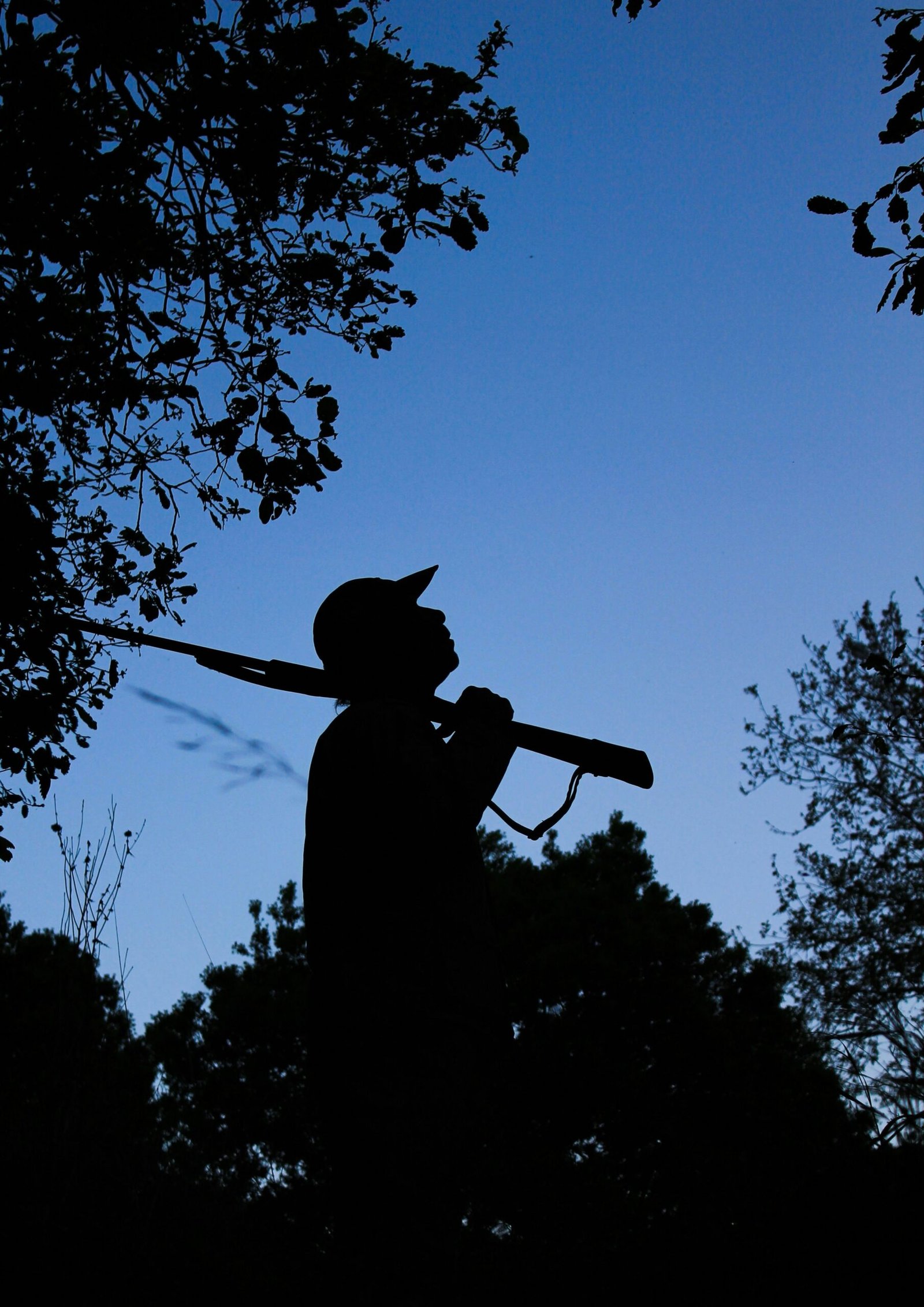 Rifles Silenciosos: Realidad o Mito en la Caza Moderna