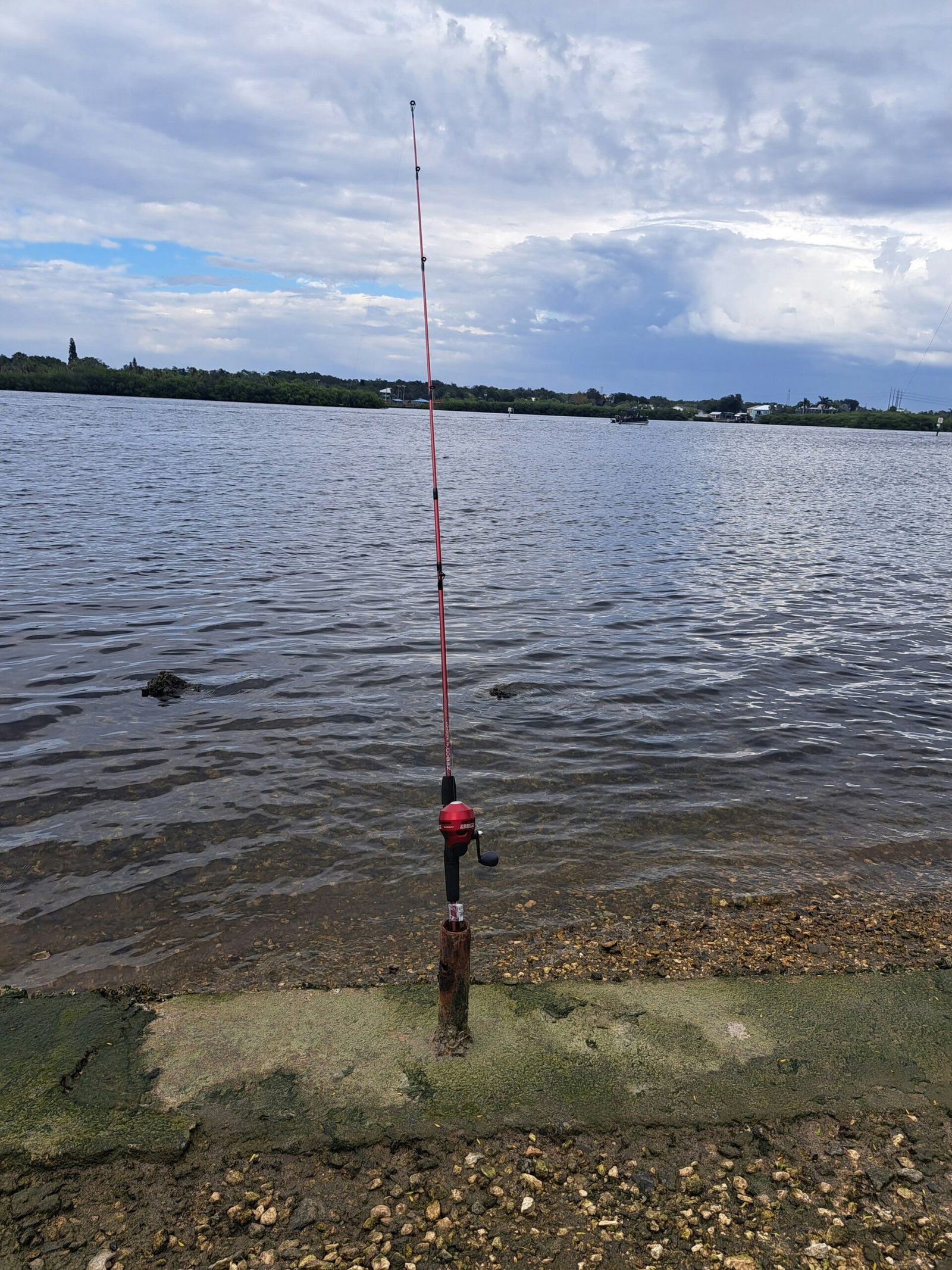 Cómo Pescar Lubina desde Costa: Técnicas y Consejos