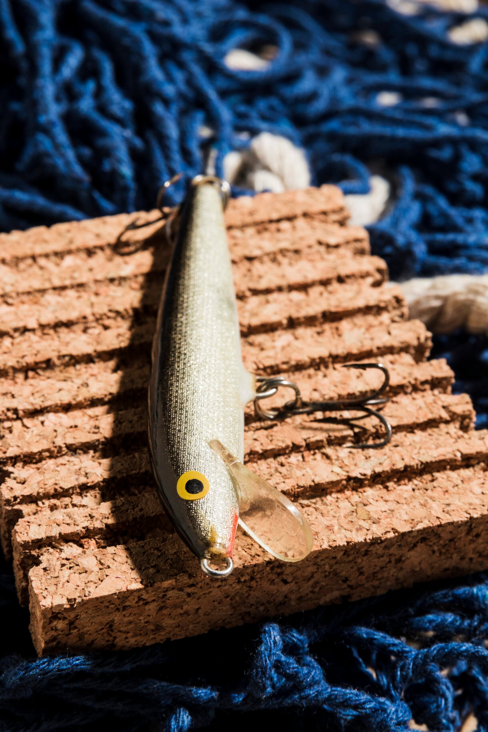 Cómo elegir el tamaño del cebo según la especie