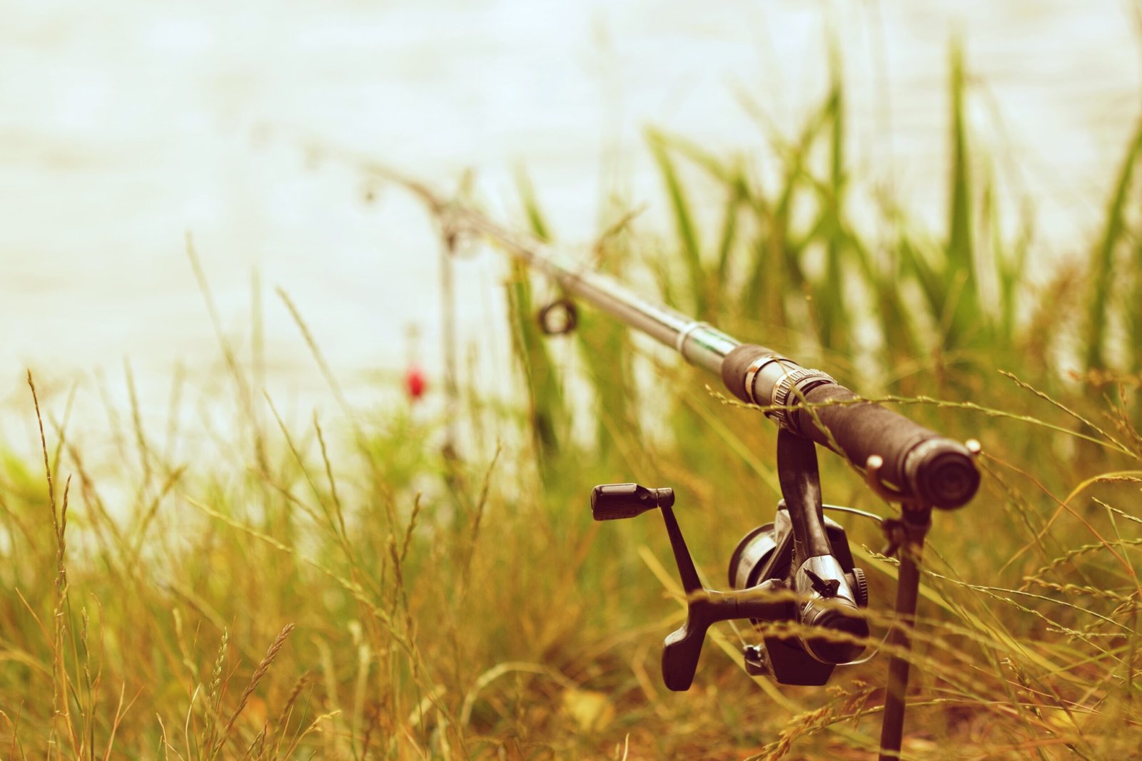 Las Mejores Cañas para Carpa: Guía Completa para los Pescadores